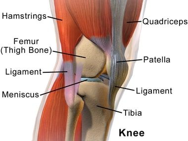 Inner Knee Pain: Why Does the Inside of My Knee Hurt? - NJ's Top