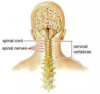 Stiff Neck Causes And Treatment - Nebraska Spine Hospital